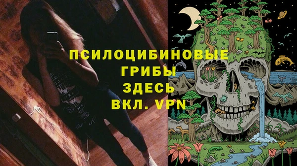 ГАЛЛЮЦИНОГЕННЫЕ ГРИБЫ Бугульма