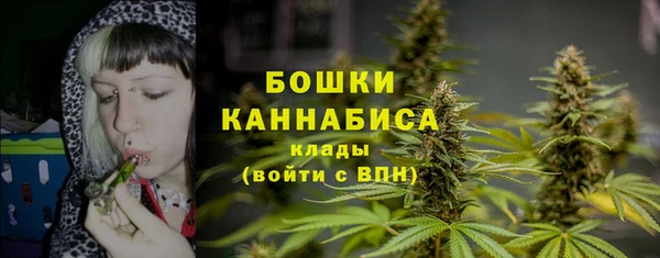 прущая мука Бородино