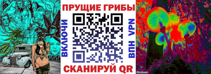 Купить где  Кремёнки  Галлюциногенные грибы прущие грибы 